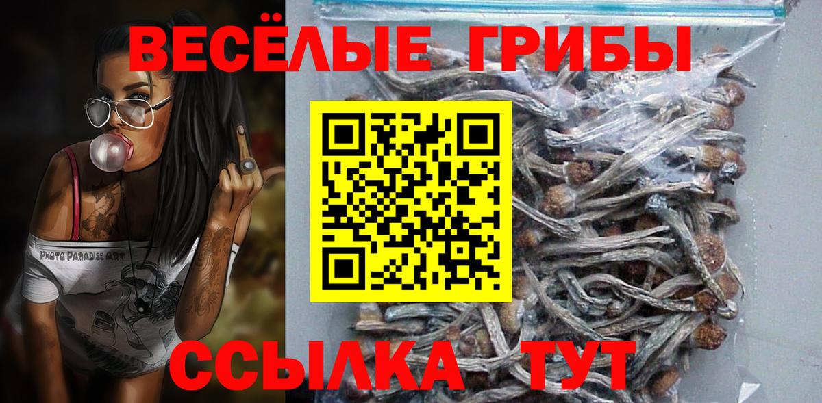 Галлюциногенные грибы Psilocybe  Галлюциногенные грибы GOLDEN TEACHER  Красноармейск  Вход с VPN 
