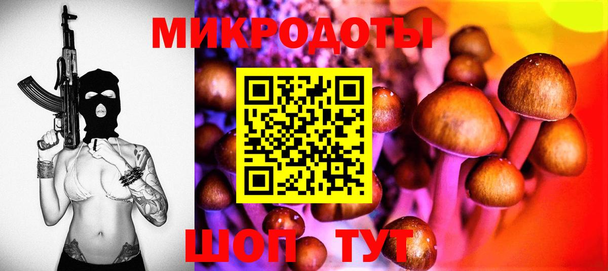 Псилоцибиновые грибы GOLDEN TEACHER Красноармейск